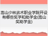 嵩山少林武术职业学院开设有哪些奖学和助学金(嵩山奖助学金)