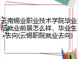 云南锡业职业技术学院毕业后就业前景怎么样，毕业生去向(云锡职院就业去向)