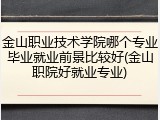 金山职业技术学院哪个专业毕业就业前景比较好(金山职院好就业专业)