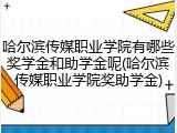 哈尔滨传媒职业学院有哪些奖学金和助学金呢(哈尔滨传媒职业学院奖助学金)