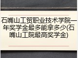 石嘴山工贸职业技术学院一年奖学金最多能拿多少(石嘴山工院最高奖学金)