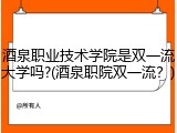 酒泉职业技术学院是双一流大学吗?(酒泉职院双一流？)