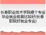 长春职业技术学院哪个专业毕业就业前景比较好(长春职院好就业专业)