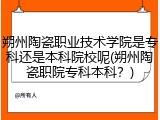 朔州陶瓷职业技术学院是专科还是本科院校呢(朔州陶瓷职院专科本科？)