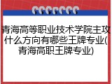 青海高等职业技术学院主攻什么方向有哪些王牌专业(青海高职王牌专业)