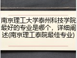 南京理工大学泰州科技学院最好的专业是哪个，详细阐述(南京理工泰院最佳专业)