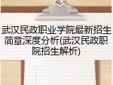 武汉民政职业学院最新招生简章深度分析(武汉民政职院招生解析)