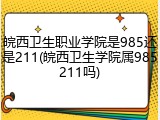 皖西卫生职业学院是985还是211(皖西卫生学院属985211吗)