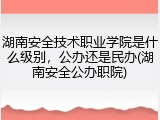 湖南安全技术职业学院是什么级别，公办还是民办(湖南安全公办职院)