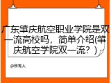 广东肇庆航空职业学院是双一流高校吗，简单介绍(肇庆航空学院双一流？)