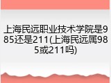 上海民远职业技术学院是985还是211(上海民远属985或211吗)