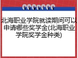 北海职业学院就读期间可以申请哪些奖学金(北海职业学院奖学金种类)