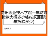 安阳职业技术学院一年财政拨款大概多少钱(安阳职院年拨款多少)