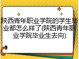 陕西青年职业学院的学生毕业都怎么样了(陕西青年职业学院毕业生去向)