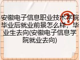 安徽电子信息职业技术学院毕业后就业前景怎么样，毕业生去向(安徽电子信息学院就业去向)