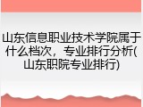 山东信息职业技术学院属于什么档次，专业排行分析(山东职院专业排行)