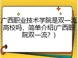 广西职业技术学院是双一流高校吗，简单介绍(广西职院双一流？)