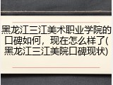 黑龙江三江美术职业学院的口碑如何，现在怎么样了(黑龙江三江美院口碑现状)