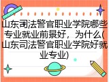 山东司法警官职业学院哪些专业就业前景好，为什么(山东司法警官职业学院好就业专业)