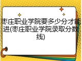 枣庄职业学院要多少分才能进(枣庄职业学院录取分数线)