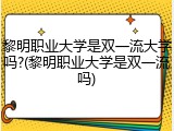 黎明职业大学是双一流大学吗?(黎明职业大学是双一流吗)