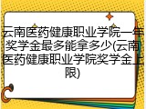 云南医药健康职业学院一年奖学金最多能拿多少(云南医药健康职业学院奖学金上限)