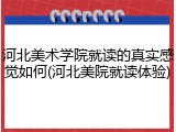 河北美术学院就读的真实感觉如何(河北美院就读体验)