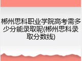 郴州思科职业学院高考需多少分能录取呢(郴州思科录取分数线)