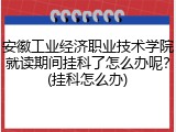 安徽工业经济职业技术学院就读期间挂科了怎么办呢？(挂科怎么办)