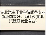 湖北汽车工业学院哪些专业就业前景好，为什么(湖北汽院好就业专业)