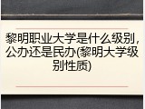 黎明职业大学是什么级别，公办还是民办(黎明大学级别性质)