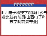 山西电子科技学院读什么专业比较有前景(山西电子科技学院前景专业)
