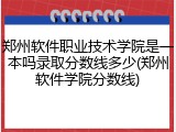 郑州软件职业技术学院是一本吗录取分数线多少(郑州软件学院分数线)