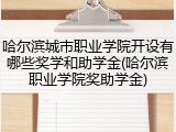 哈尔滨城市职业学院开设有哪些奖学和助学金(哈尔滨职业学院奖助学金)