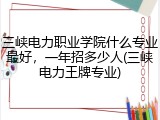 三峡电力职业学院什么专业最好，一年招多少人(三峡电力王牌专业)