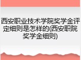 西安职业技术学院奖学金评定细则是怎样的(西安职院奖学金细则)