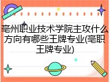 亳州职业技术学院主攻什么方向有哪些王牌专业(亳职王牌专业)