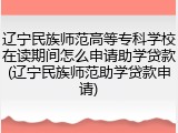 辽宁民族师范高等专科学校在读期间怎么申请助学贷款(辽宁民族师范助学贷款申请)