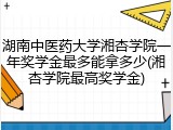 湖南中医药大学湘杏学院一年奖学金最多能拿多少(湘杏学院最高奖学金)