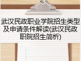 武汉民政职业学院招生类型及申请条件解读(武汉民政职院招生简析)