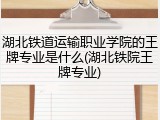 湖北铁道运输职业学院的王牌专业是什么(湖北铁院王牌专业)