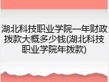湖北科技职业学院一年财政拨款大概多少钱(湖北科技职业学院年拨款)