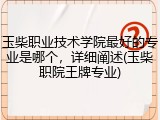 玉柴职业技术学院最好的专业是哪个，详细阐述(玉柴职院王牌专业)