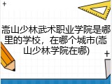 嵩山少林武术职业学院是哪里的学校，在哪个城市(嵩山少林学院在哪)
