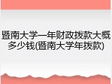 暨南大学一年财政拨款大概多少钱(暨南大学年拨款)