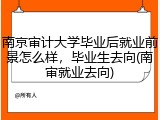 南京审计大学毕业后就业前景怎么样，毕业生去向(南审就业去向)