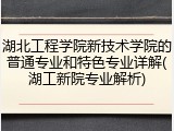 湖北工程学院新技术学院的普通专业和特色专业详解(湖工新院专业解析)