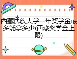 西藏民族大学一年奖学金最多能拿多少(西藏奖学金上限)