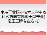 南京工业职业技术大学主攻什么方向有哪些王牌专业(南工王牌专业方向)