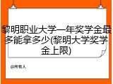 黎明职业大学一年奖学金最多能拿多少(黎明大学奖学金上限)